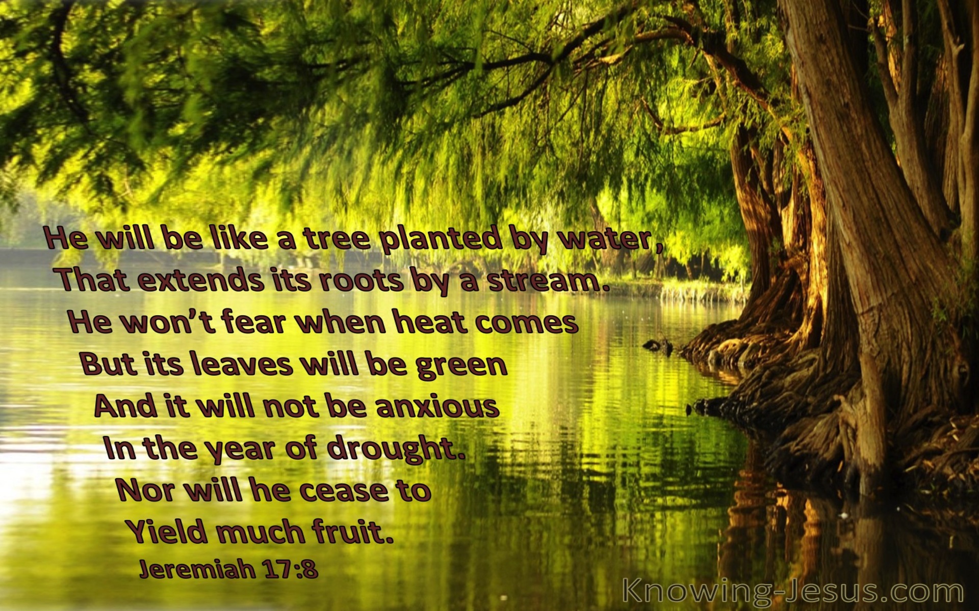 Jeremiah 17:8 He Will Be Like A Tree Planted (brown)